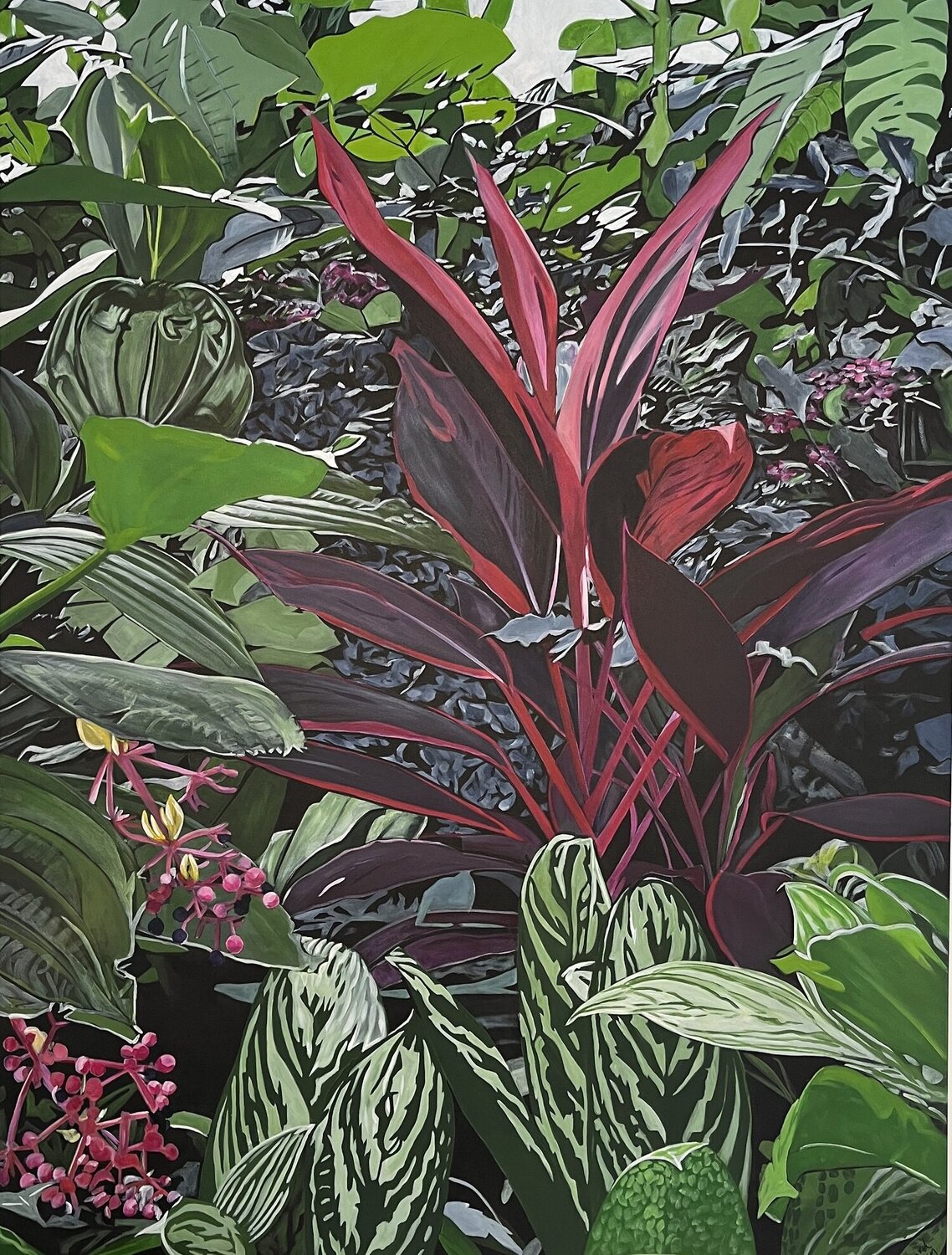 Cordyline Fruticosa Richard Higham Original painting for sale