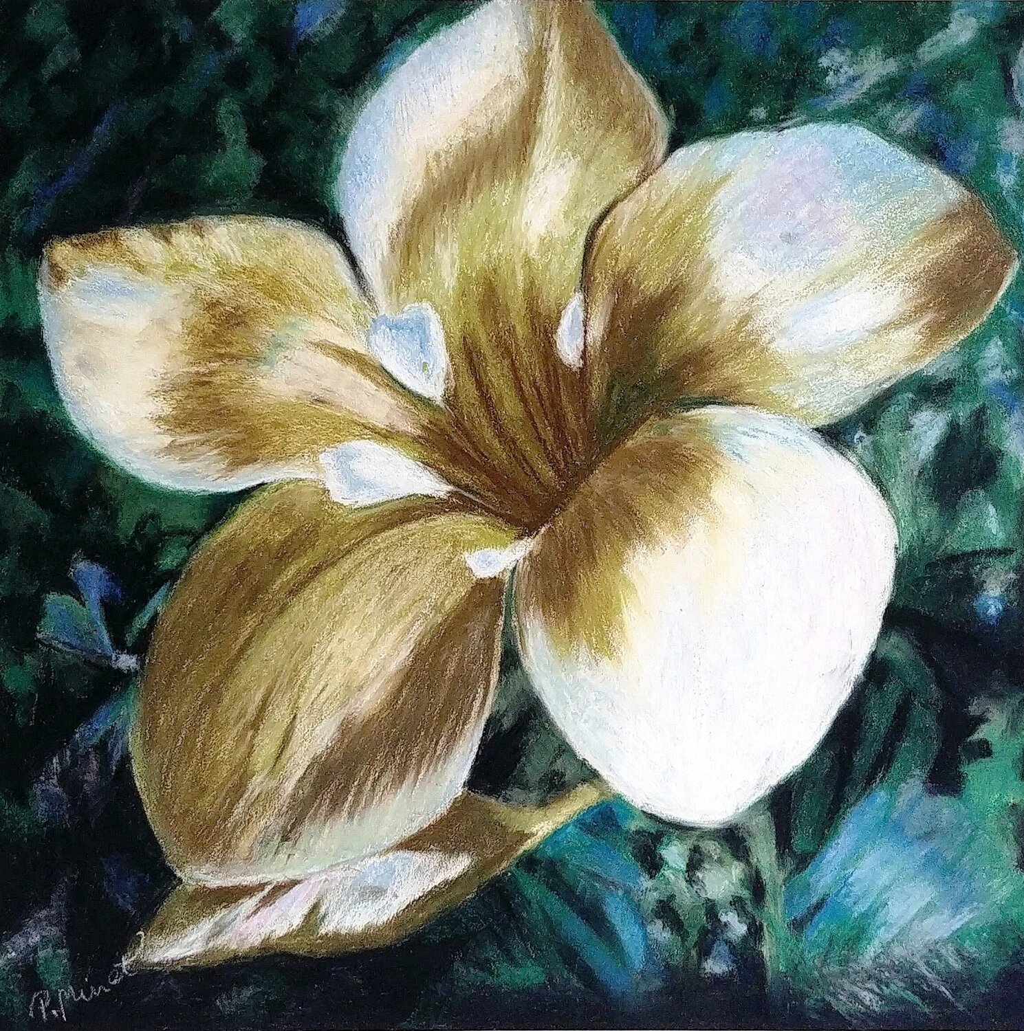 White Tropical Flower PETRA MINET Original painting for sale