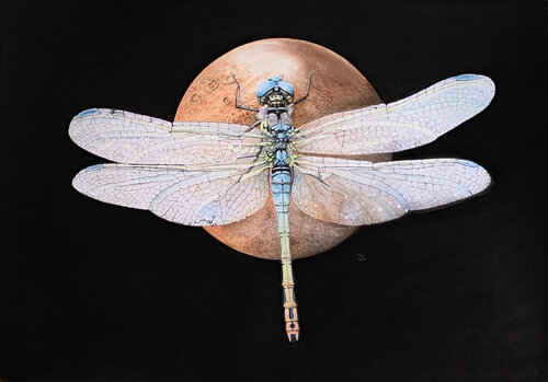 Libelle auf dem Mars by Marc Häberlin, Painting for Sale on Select