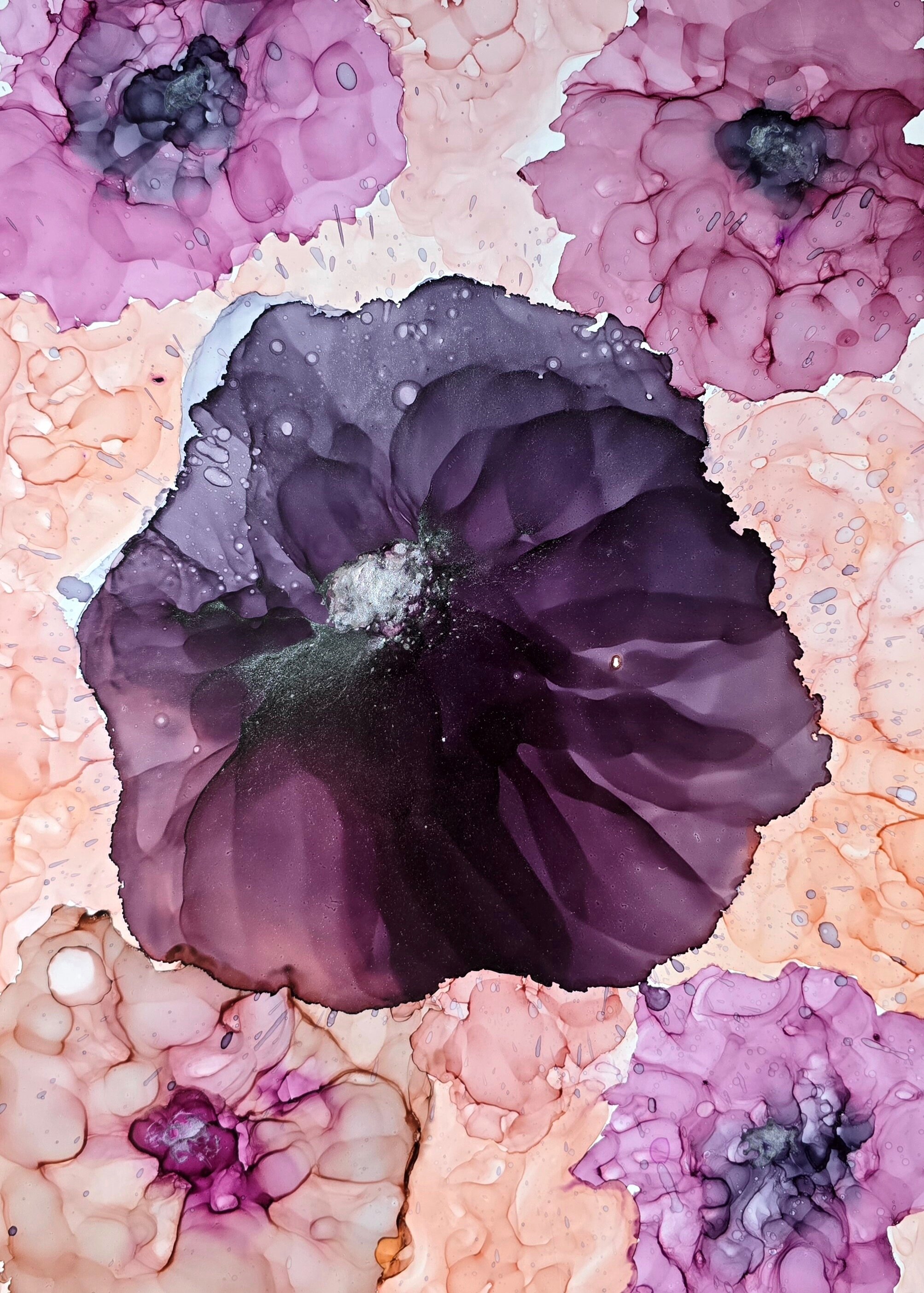 Velvet Bloom