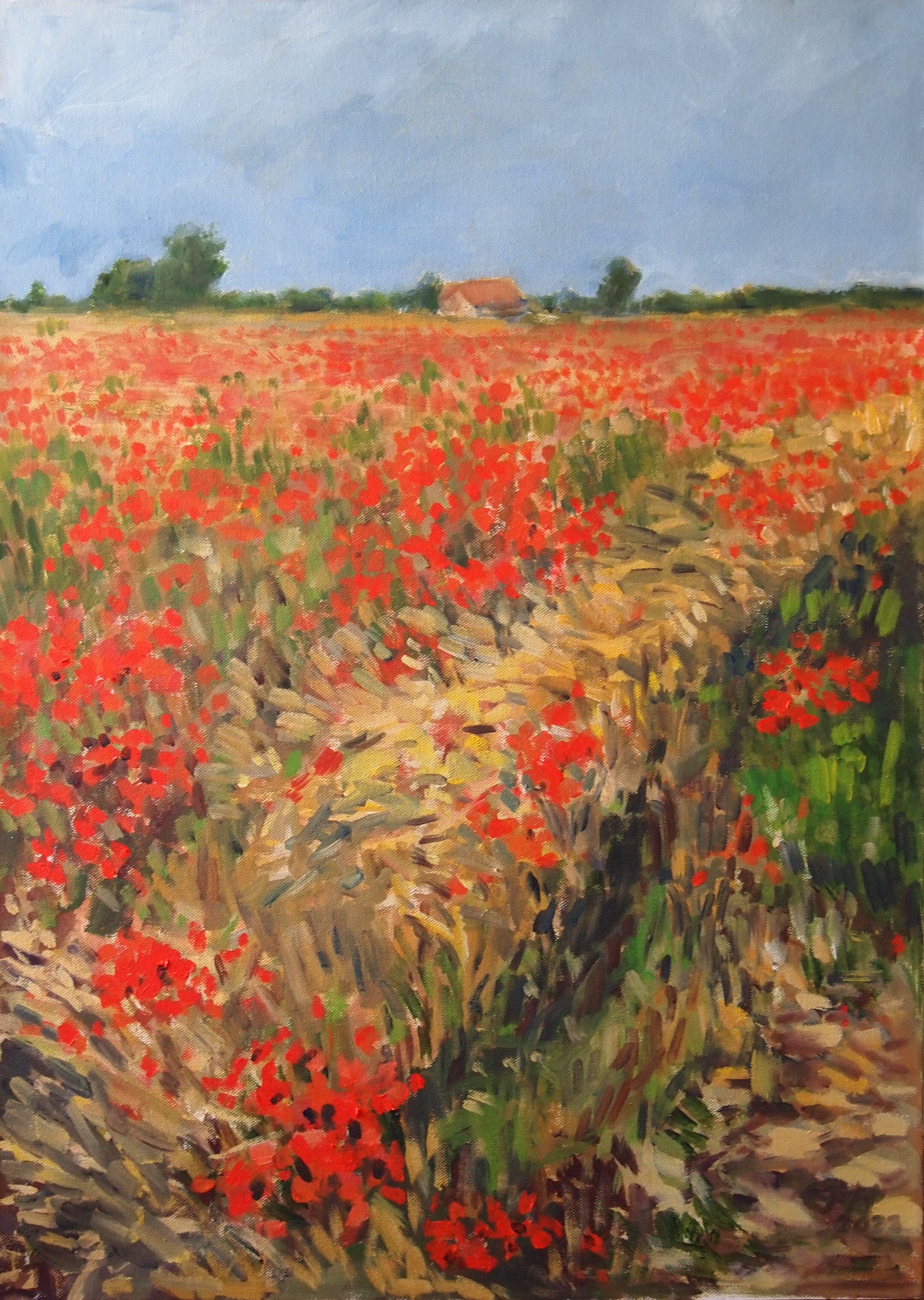Poppy Field