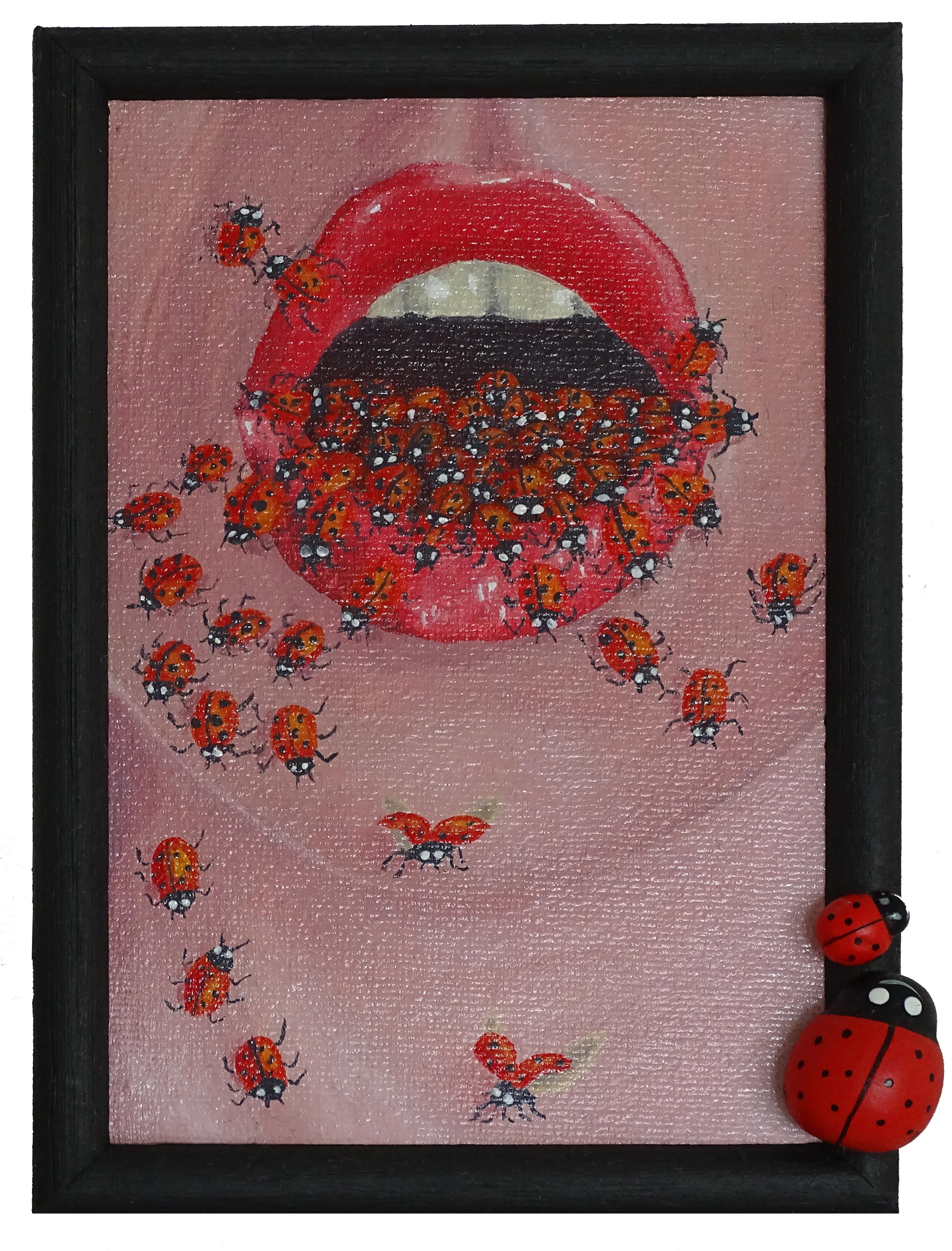 Ladybirds