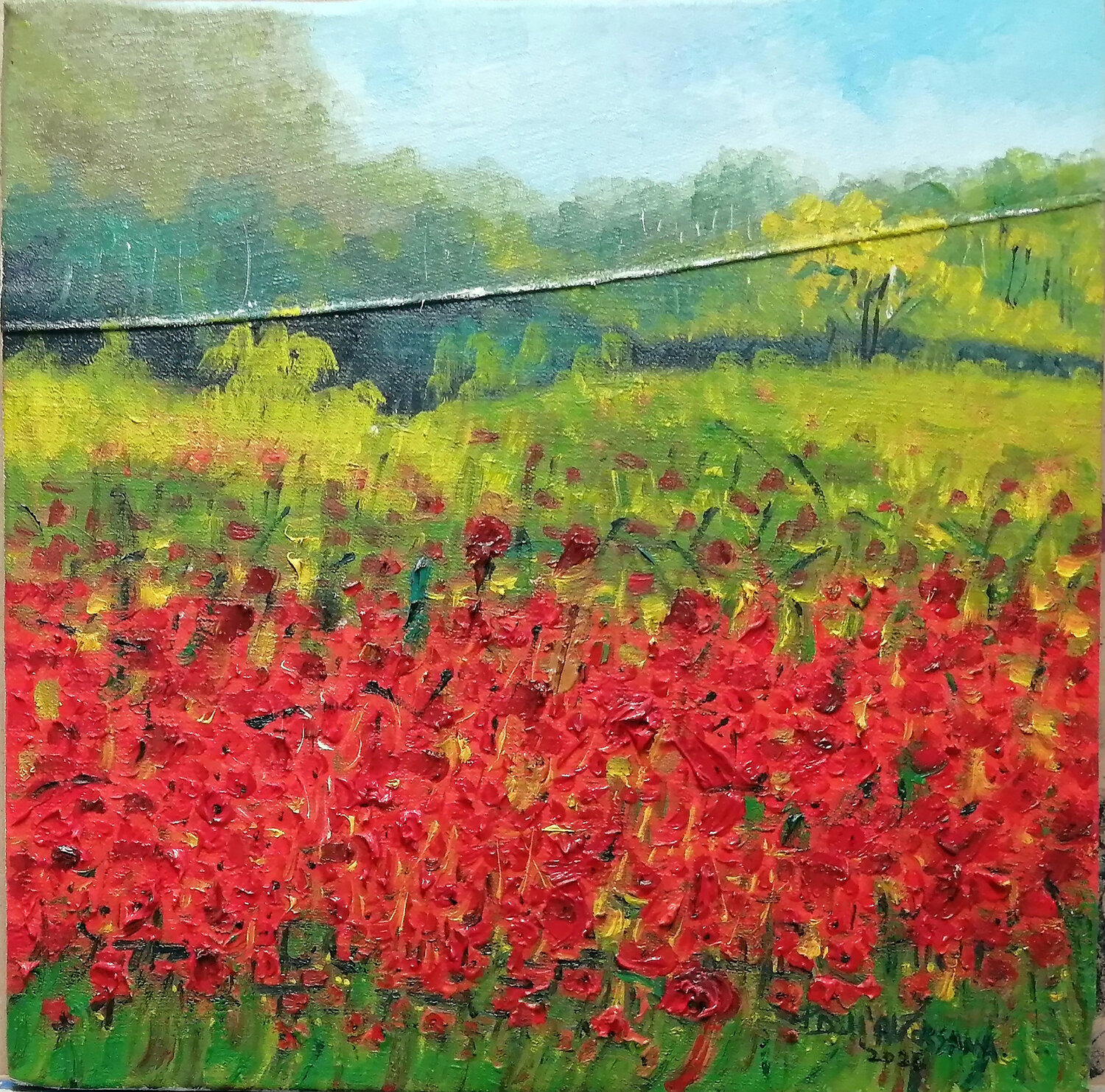"Papaveri" dipinto su Jeans Pietro Dell'Aversana Original painting for sale