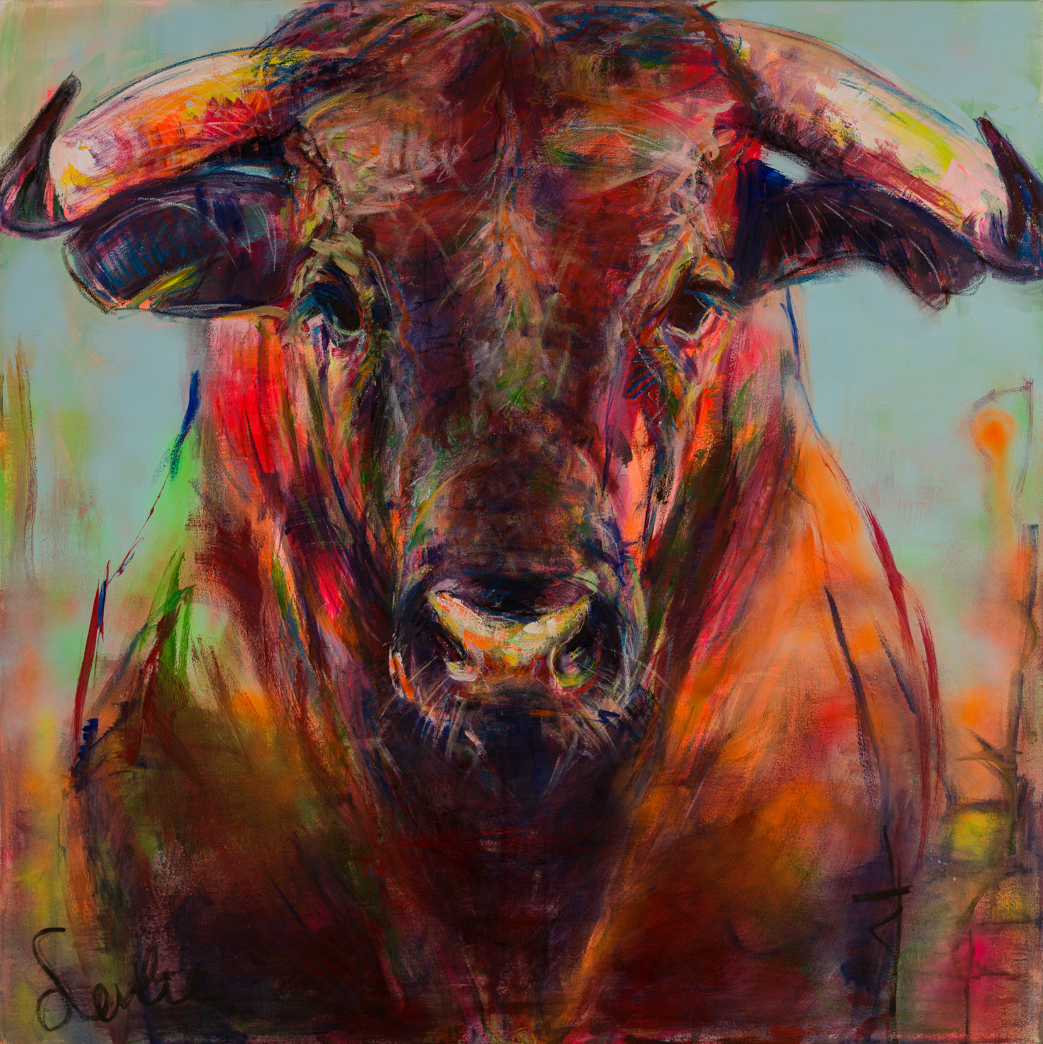 Stier, een portret