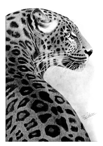 One Last Look by Indika Wijewardana, Drawing for Sale on Select
