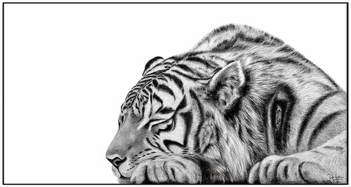 " The Stoic " by Indika Wijewardana, Drawing for Sale on Select