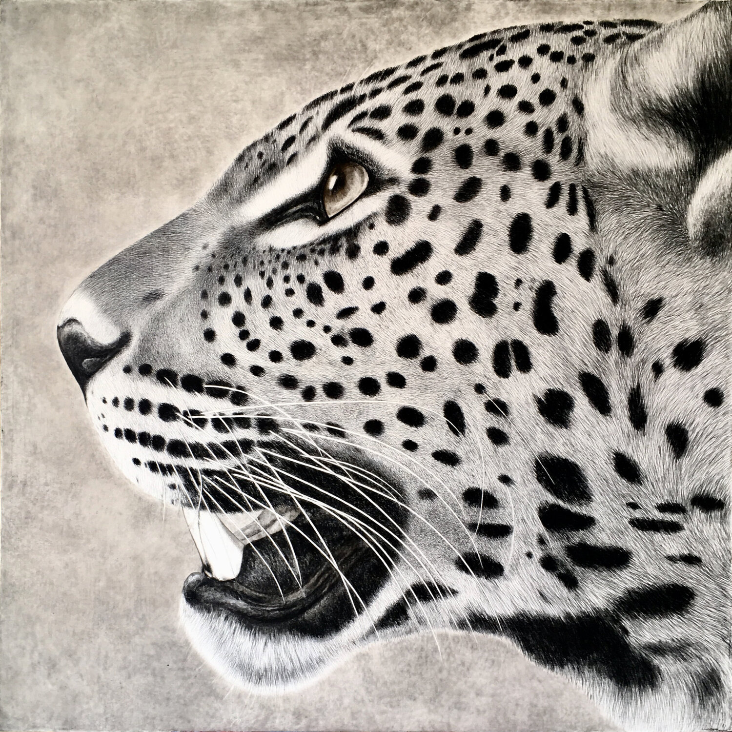 'Rejection' Indika Wijewardana Drawing for sale