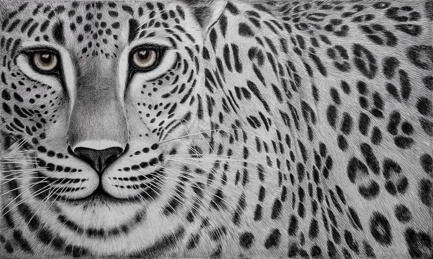 " Steady " Indika Wijewardana Drawing for sale