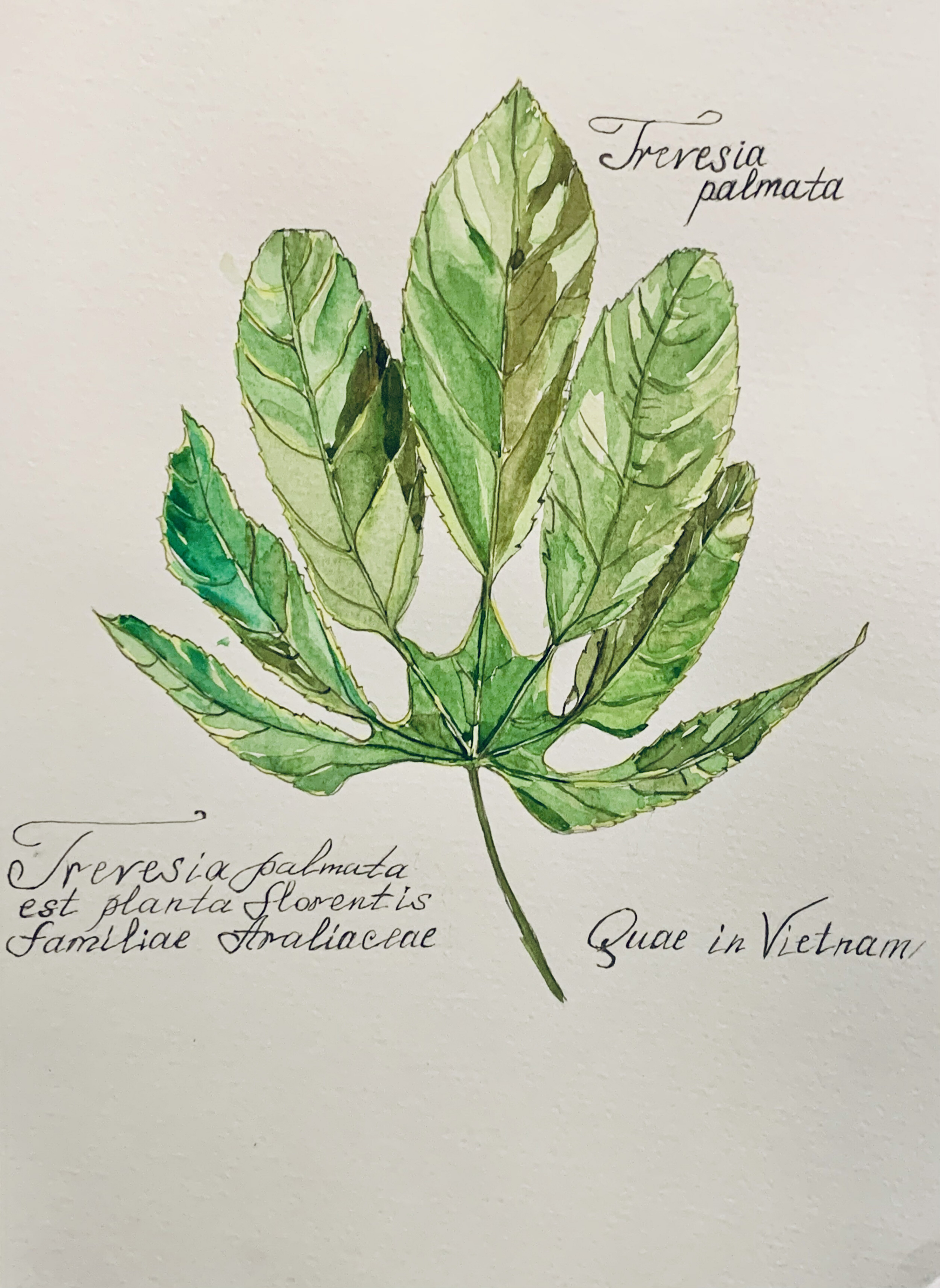 Topic Vietnam paintings