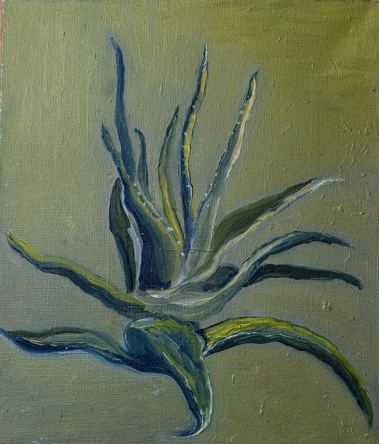 Abstract air plant painting - navy & gold botanical art - wall decor Fatima Erkenova Original painting for sale