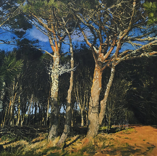 Sunlight and Shadows, Prussia Cove. Cornwall. by Mark McLaughlin, Painting for Sale on Select