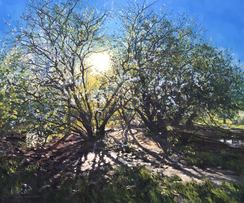 Spring Hawthorn Blossom in afternoon light. Clapham Common. London by Mark McLaughlin, Painting for Sale on Select