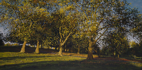 Autumn afternoon, Brockwell Park. Herne Hill. London by Mark McLaughlin, Painting for Sale on Select
