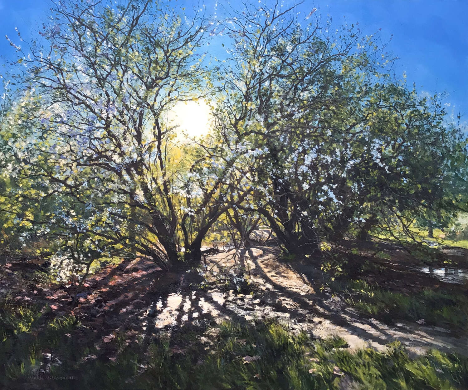 Spring Hawthorn Blossom in afternoon light. Clapham Common. London Mark McLaughlin Original painting for sale