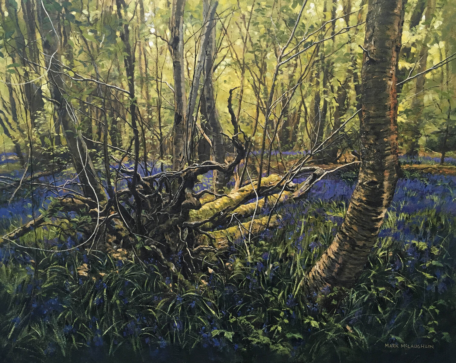 Uprooted, blue bell woods. Mark McLaughlin Original painting for sale