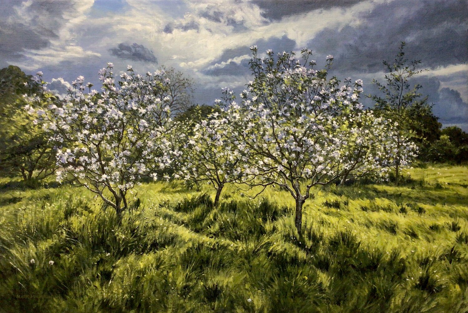 Between the showers. Dulwich Orchard. Mark McLaughlin Original painting for sale