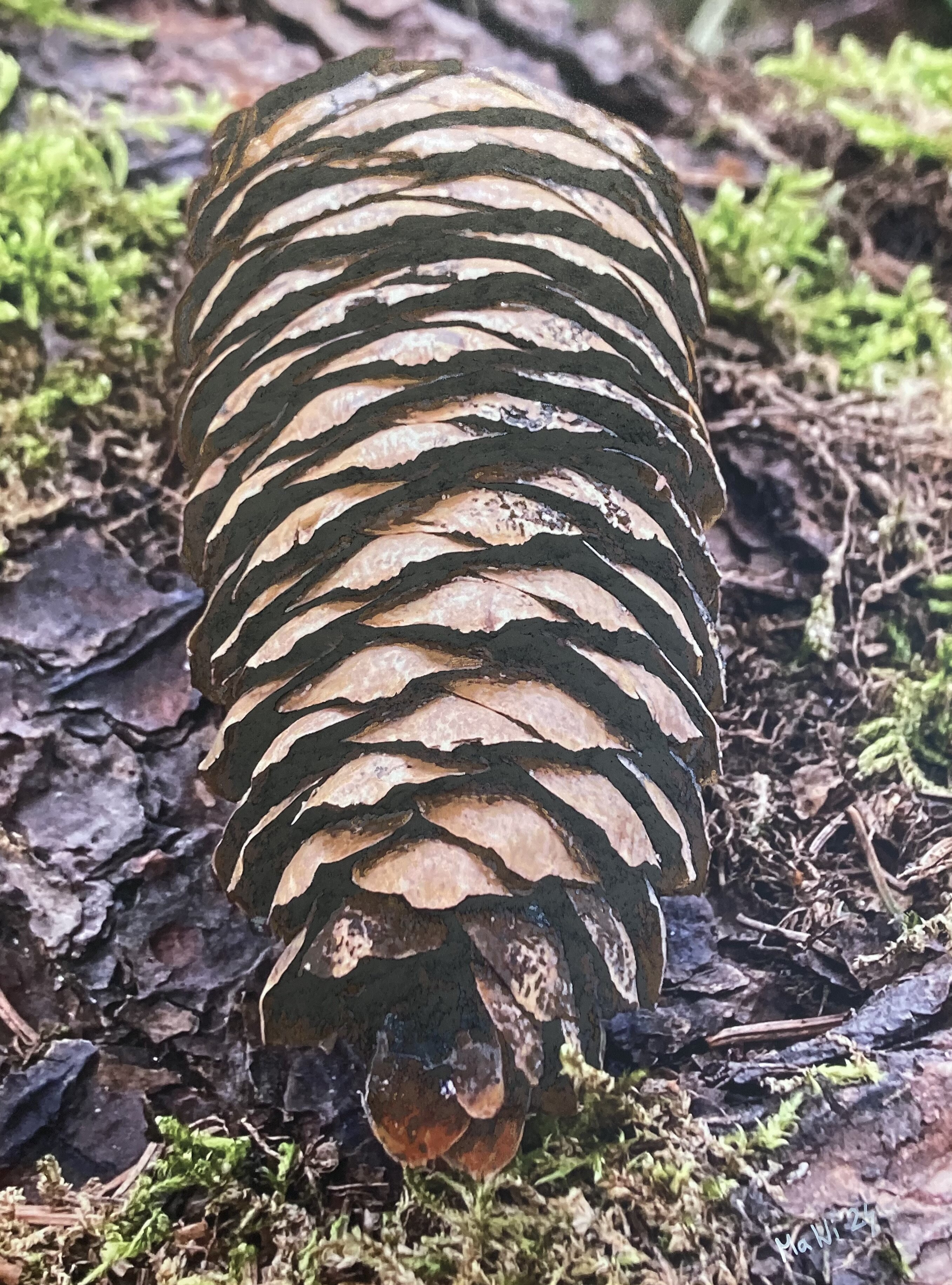 Topic Pinecone paintings