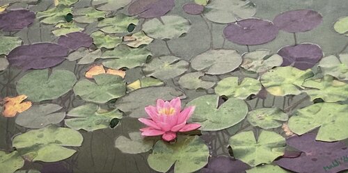 Seerose by Marta Widowitz, Painting for Sale on Select