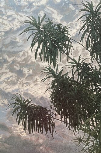 Himmel unter Palmen by Marta Widowitz, Painting for Sale on Select