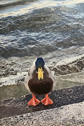 Die Donauente by Marta Widowitz, Painting for Sale on Select