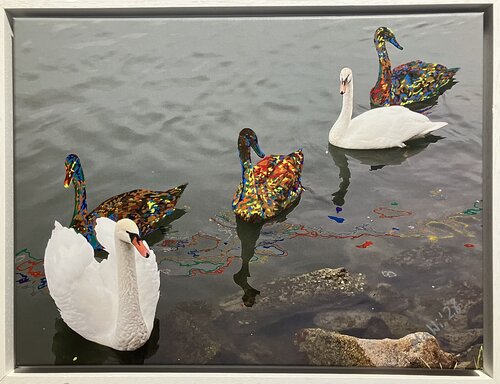 Metamorphose by Marta Widowitz, Painting for Sale on Select