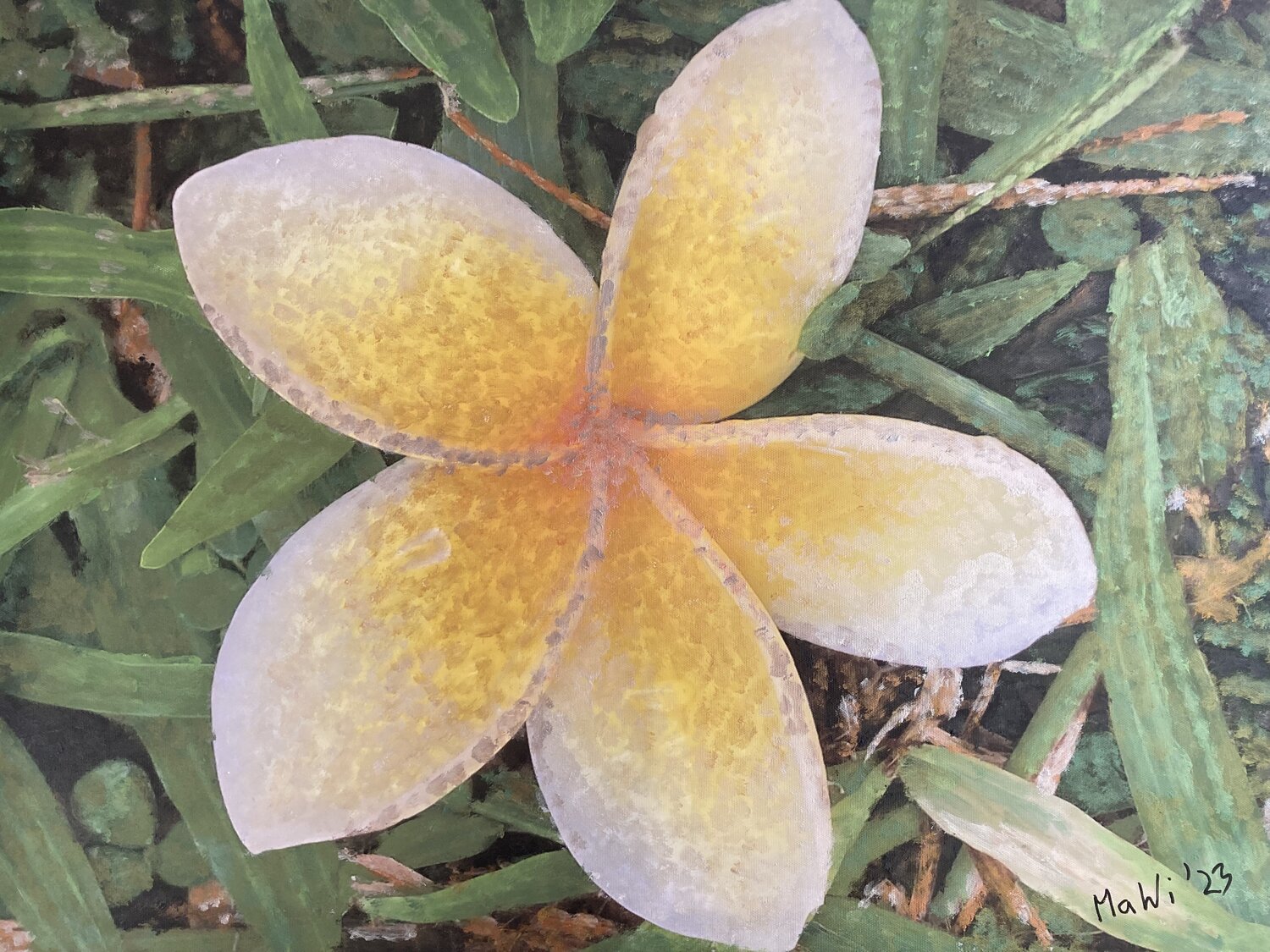 Frangipani Marta Widowitz Original painting for sale