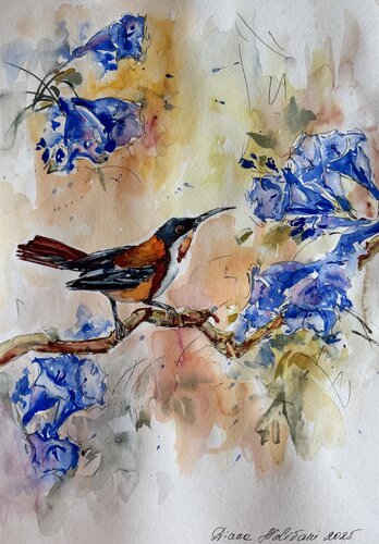 Petit oiseau by Diana Malivani, Drawing for Sale on Select