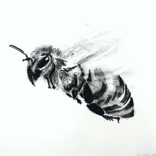 Bee No. 11, Fine Art Giclée Print auf Hahnemühle Photo Rag, kaschiert auf Alu-Dibond und präsentiert in einer ArtBox aus Aluminium (weiß, 10 mm). by Christiane Wilhelmi, Drawing for Sale on Select