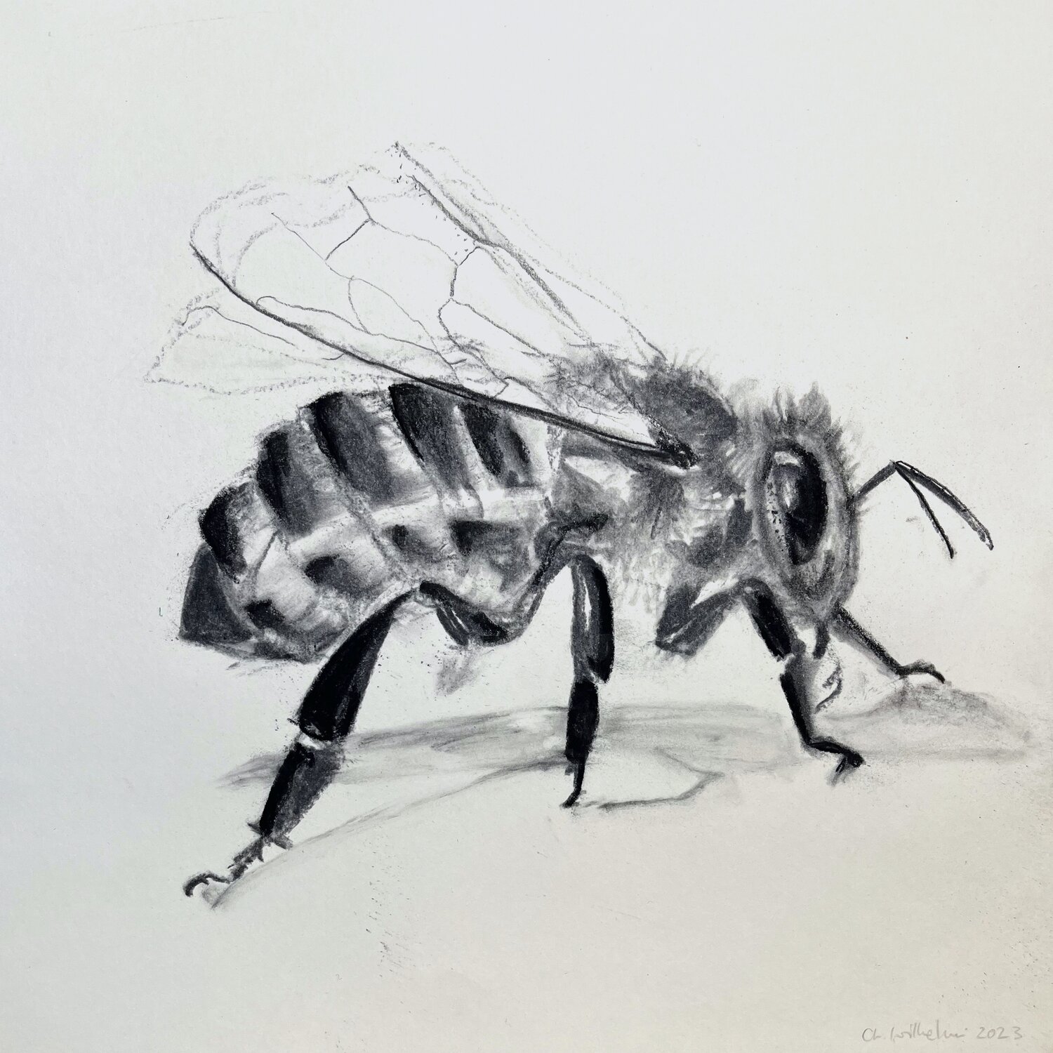 Bee No. 24, Fine Art Giclée Print auf Hahnemühle Photo Rag, kaschiert auf Alu-Dibond und präsentiert in einer ArtBox aus Aluminium (weiß, 10 mm). Christiane Wilhelmi Drawing for sale