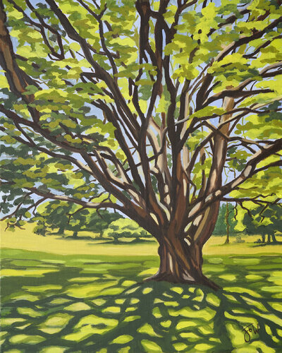 Light and shade by Jo Willis, Painting for Sale on Select