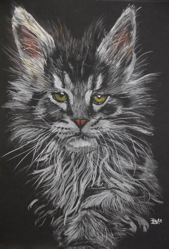 Maine Coon Kater by Birger Dicke, Painting for Sale on Select