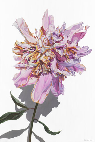 Blissful by Kimberley Cook, Painting for Sale on Select