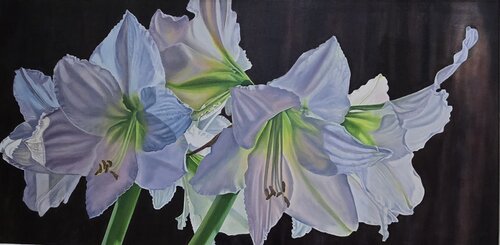 Amouryllis by Kimberley Cook, Painting for Sale on Select