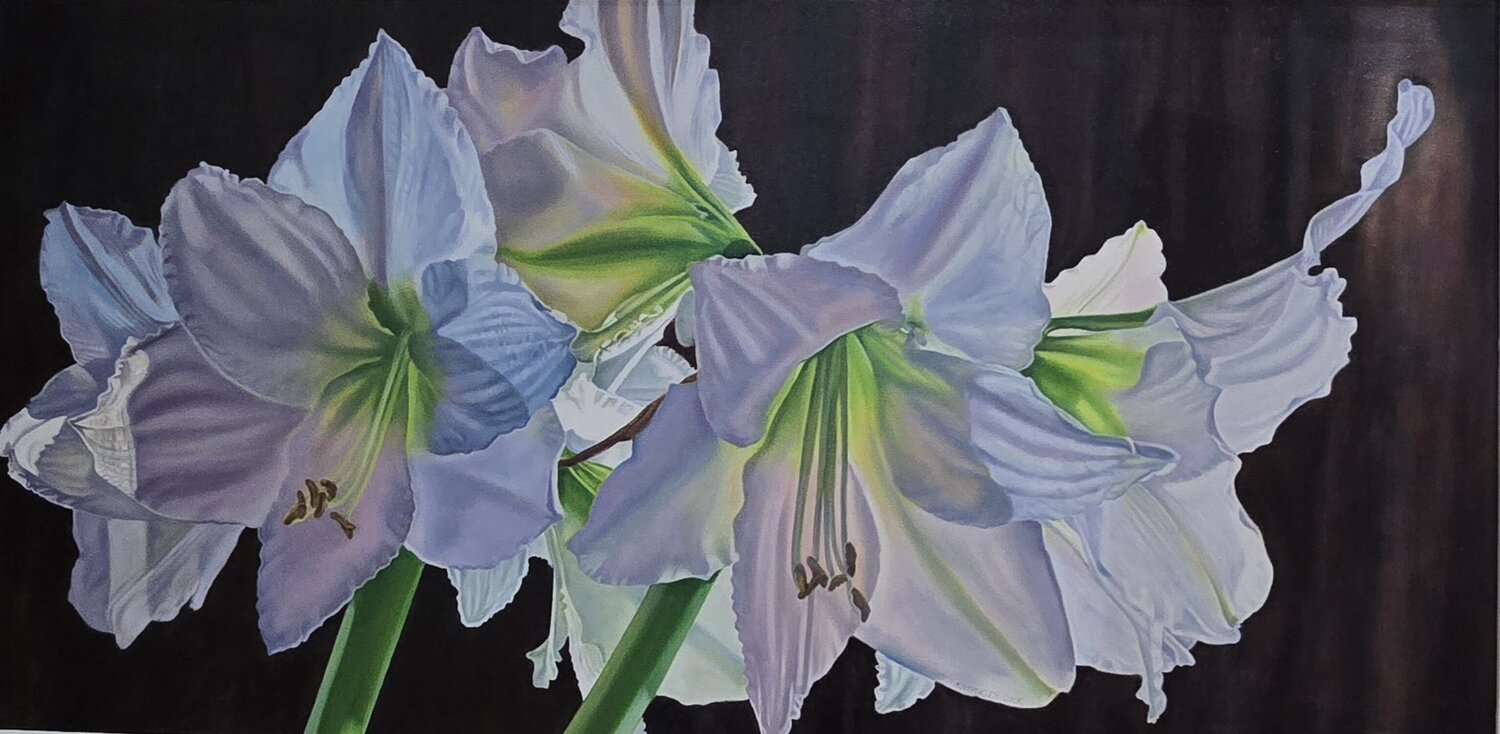Amouryllis Kimberley Cook Original painting for sale