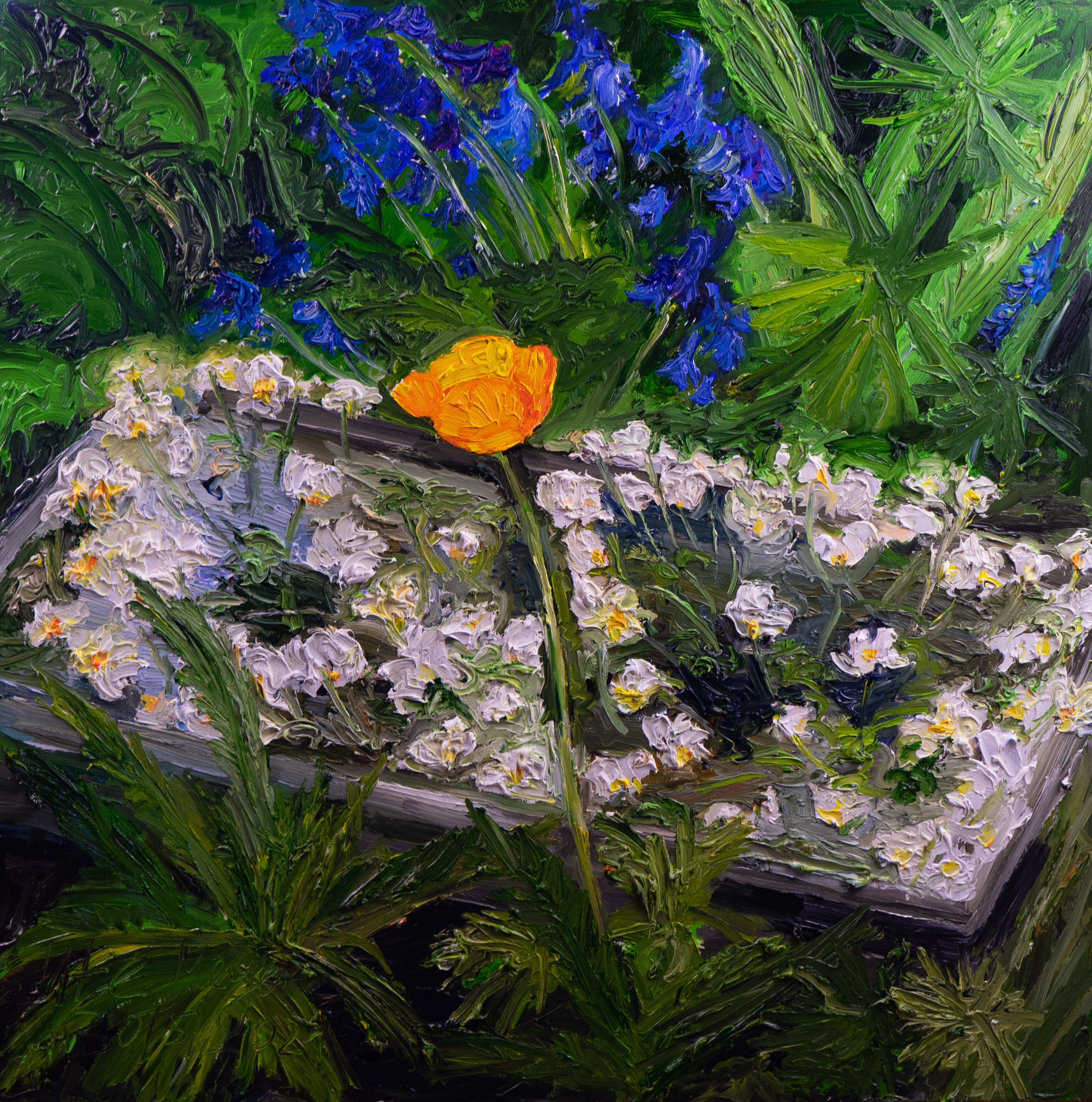 Topic Orange Flower paintings