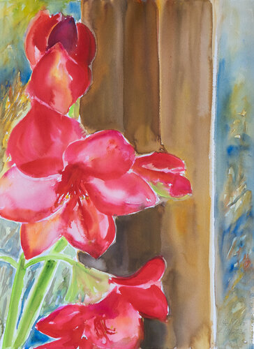 Rote Amaryllis - Blüten vor dem Fenster by Ute Meyer, Painting for Sale on Select