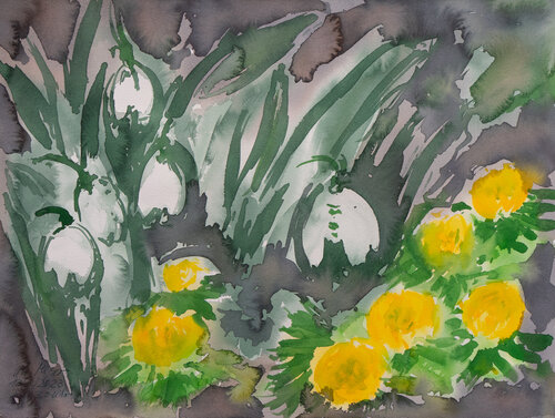 Frühblüher: Schneeglöckchen und Winterlinge by Ute Meyer, Painting for Sale on Select