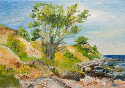 Tag im Mai an der Ostsee / Kegnæs by Ute Meyer, Painting for Sale on Select