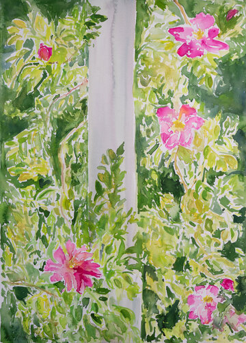Rosen in der Sonne by Ute Meyer, Painting for Sale on Select