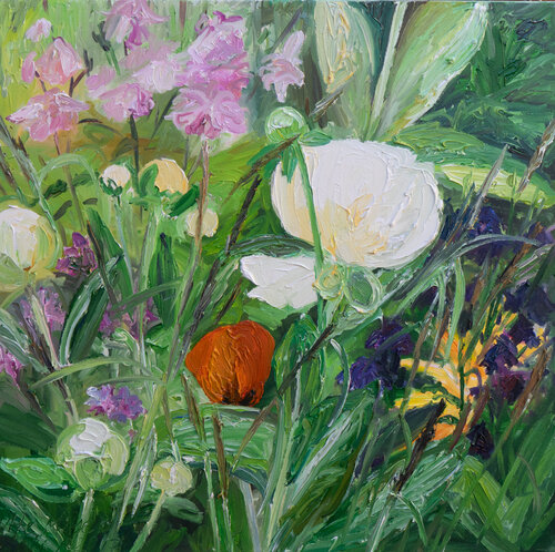 Päonie und Akelei by Ute Meyer, Painting for Sale on Select