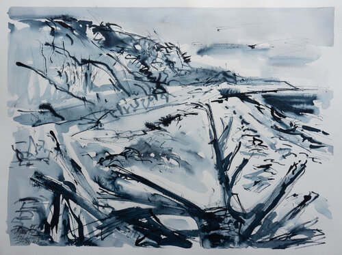 Baumwurzel am Strand by Ute Meyer, Drawing for Sale on Select