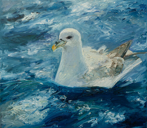 Eissturmvogel by Ute Meyer, Painting for Sale on Select