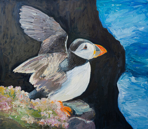 Papageientaucher by Ute Meyer, Painting for Sale on Select