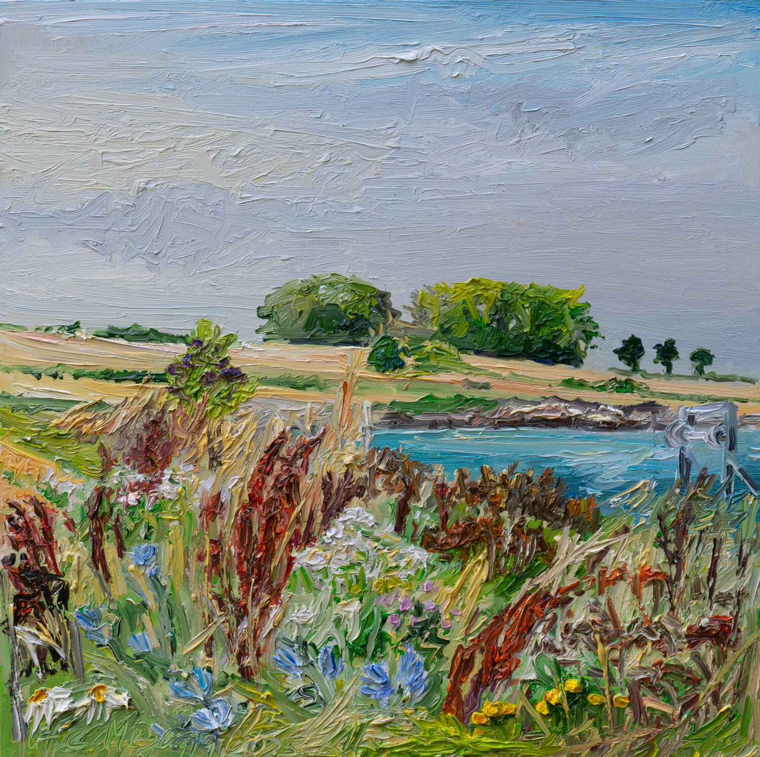 Wegwarte / Sct. Albert / Ærø Ute Meyer Original painting for sale