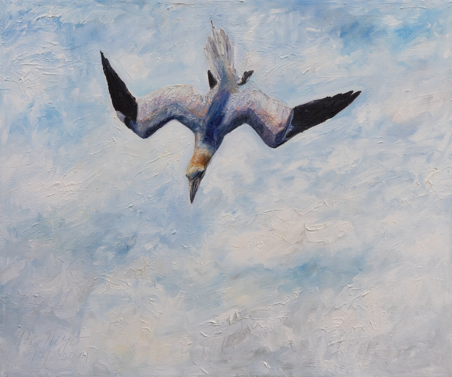 Basstölpel  am Jagen Ute Meyer Original painting for sale