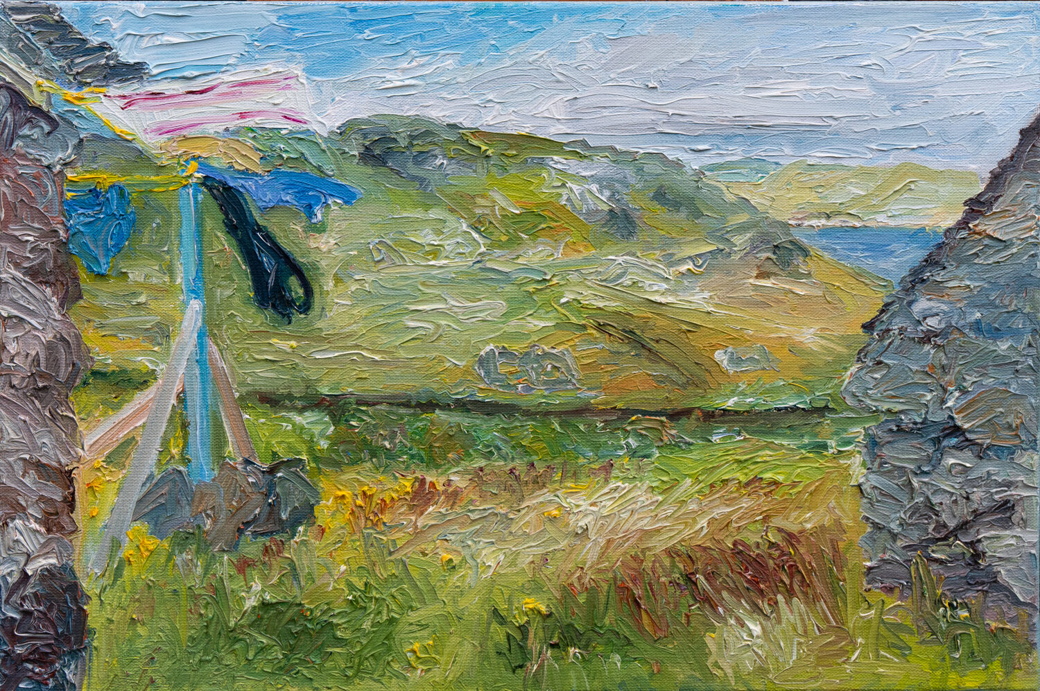 Wäsche im Wind / Lunning/ Shetland Ute Meyer Original painting for sale