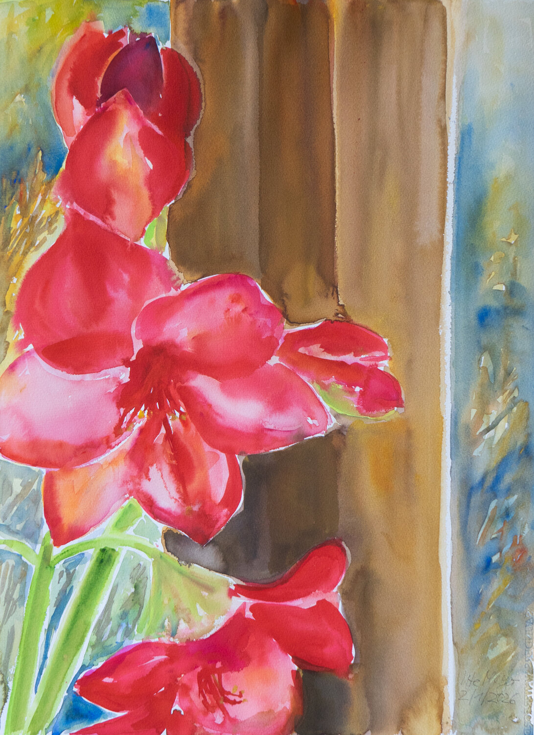 Rote Amaryllis - Blüten vor dem Fenster Ute Meyer Original painting for sale