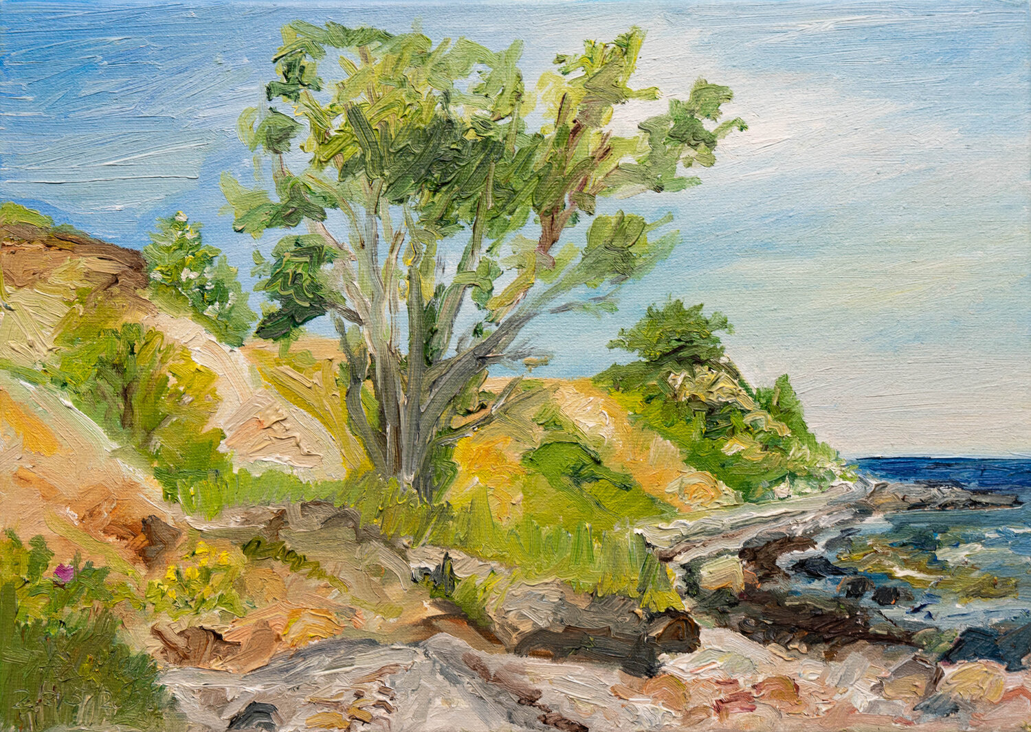 Tag im Mai an der Ostsee / Kegnæs Ute Meyer Original painting for sale