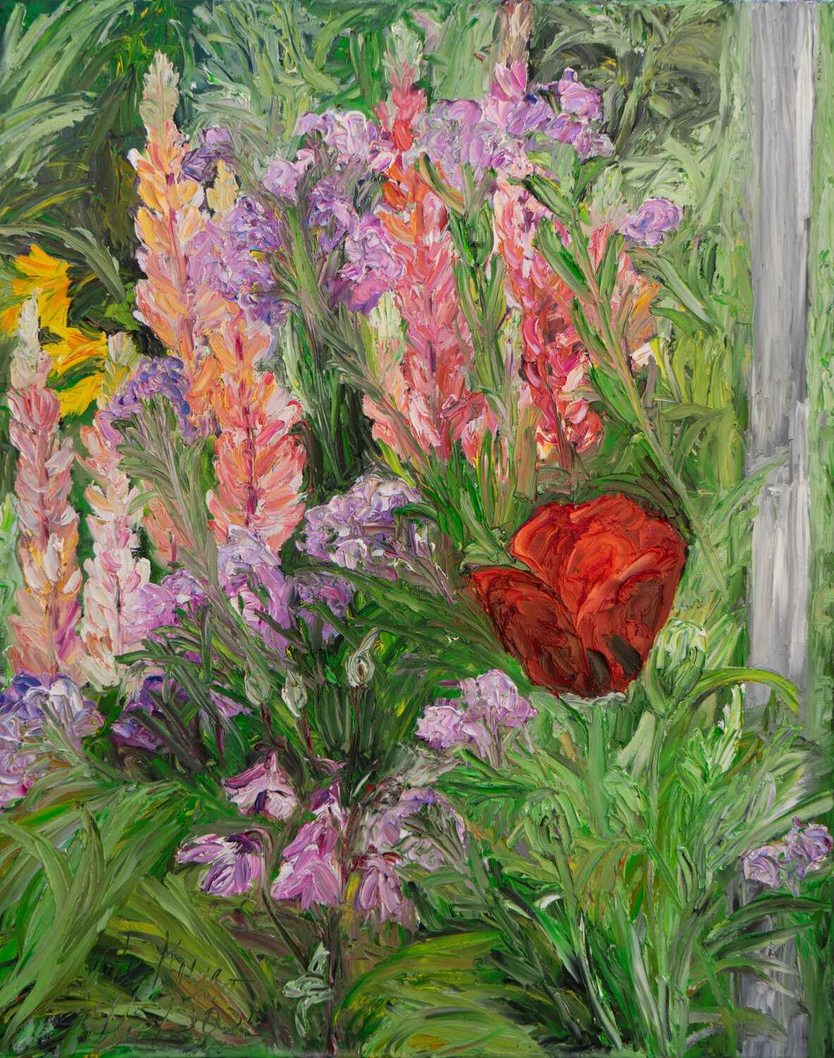 Rote Mohnblüte zwischen Lupinen Ute Meyer Original painting for sale