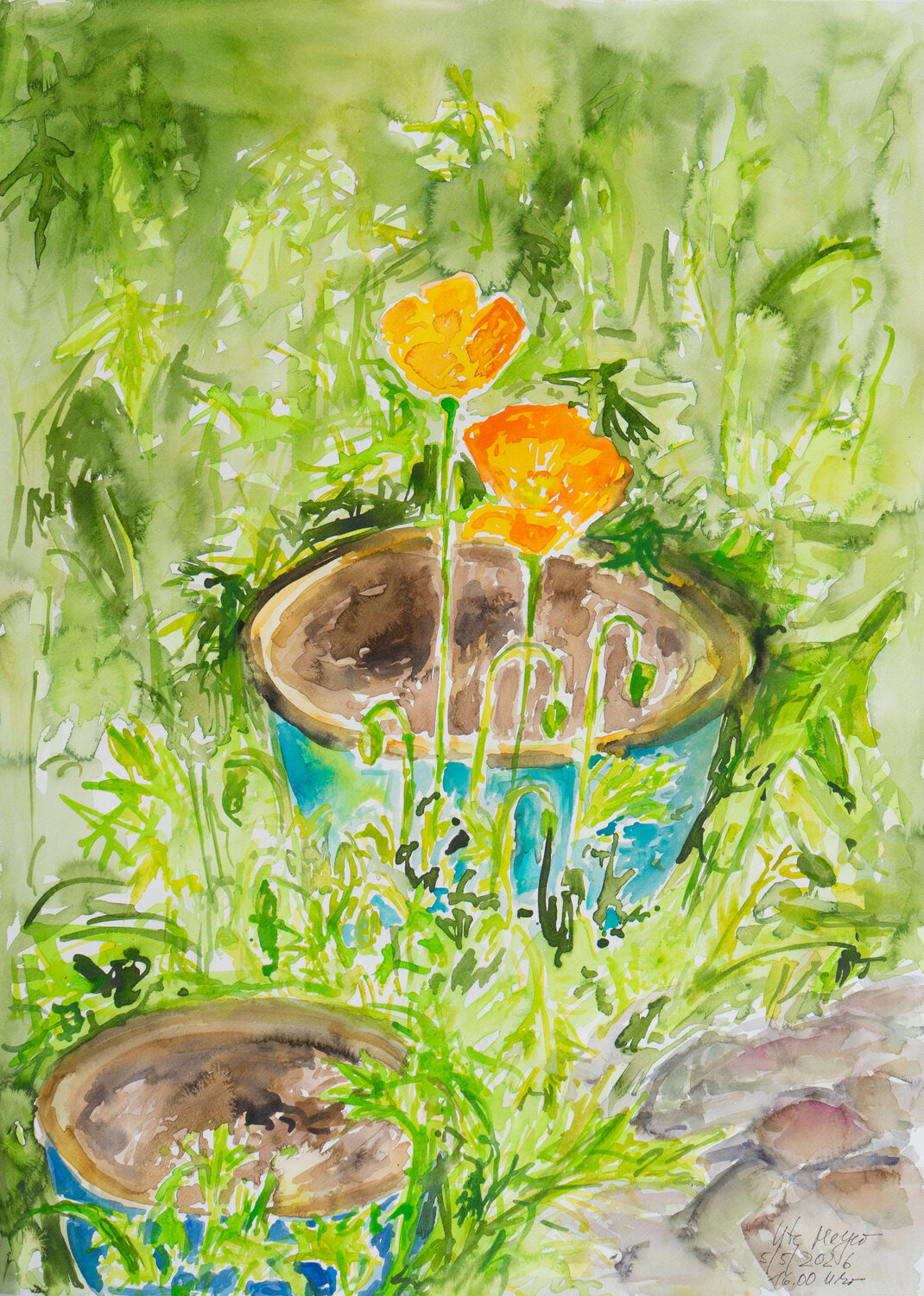 Sonniger Nachmittag / Wald-Scheinmohn Ute Meyer Original painting for sale